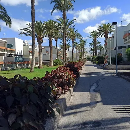 Apartment In The South Of Tenerife In The Costa Del Silencio