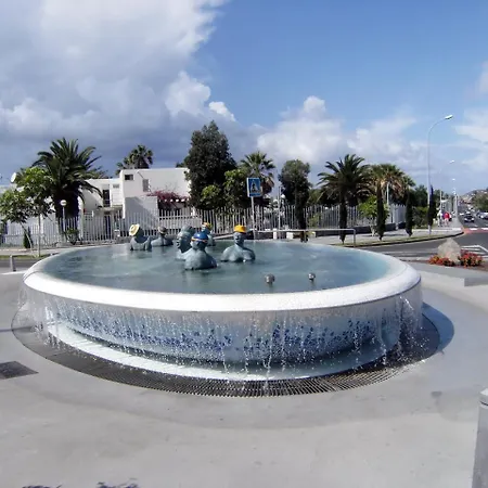 In The South Of Tenerife In The